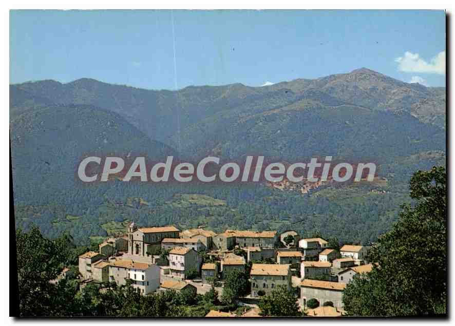 CPSM Cozzano Vue Generale Au Fond Ciamannacce
