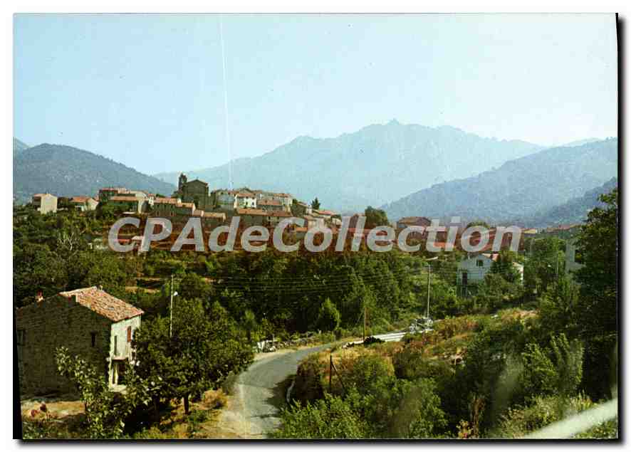 CPSM Charmes Et Couleurs De La Corse Cozzano
