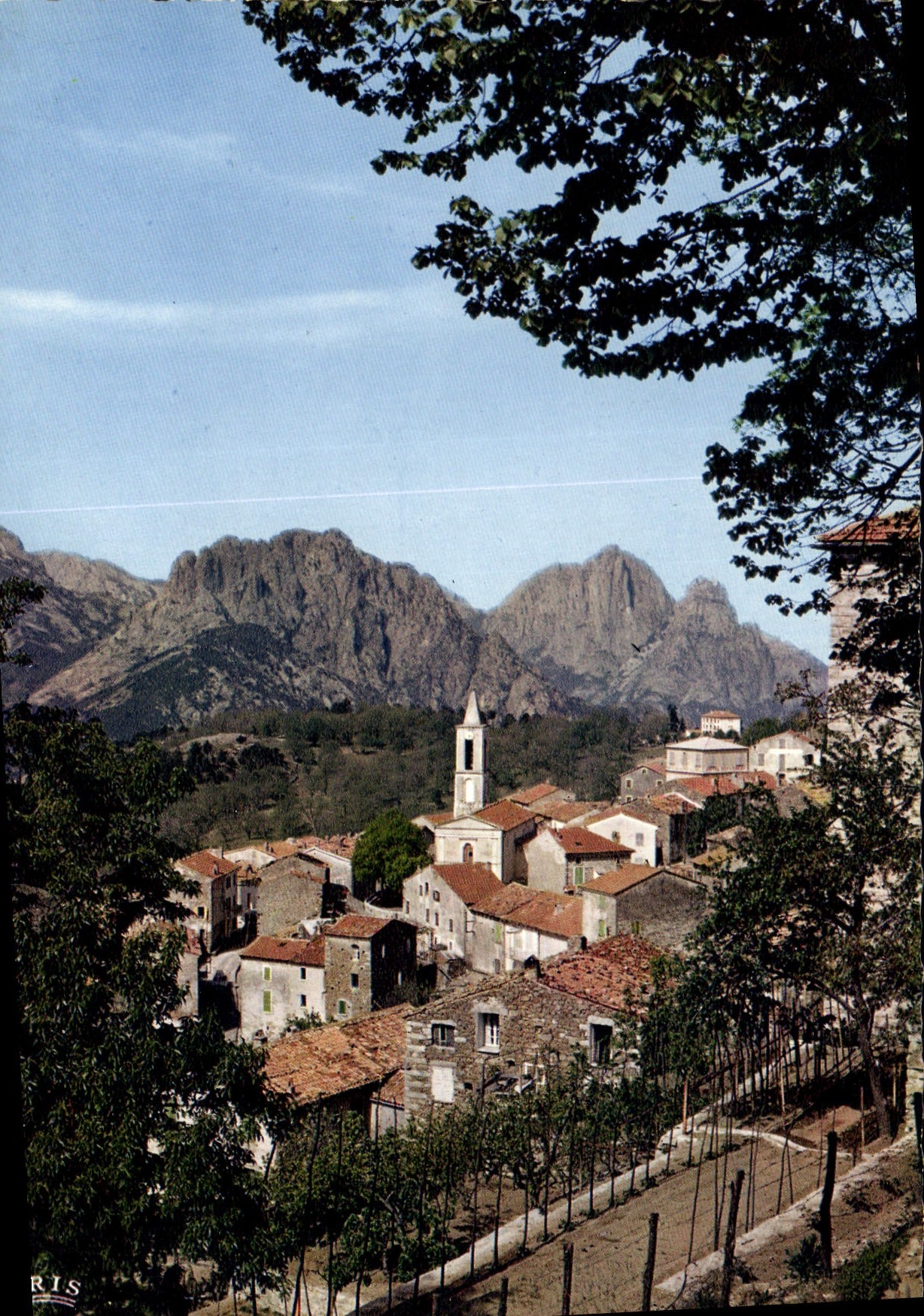 CPSM Evisa Vue Partielle Sur Porto 
