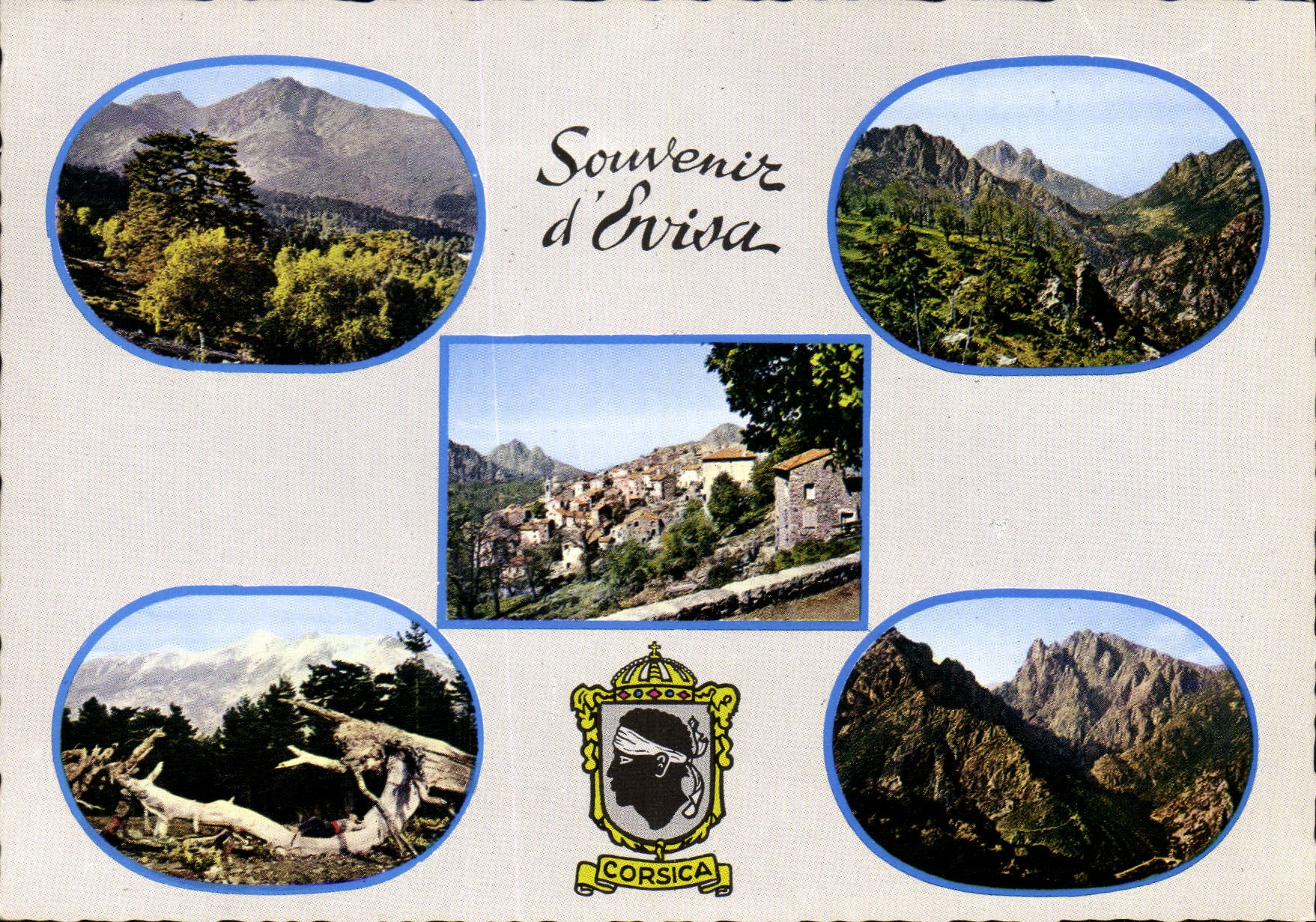 CPSM Souvenir D'Evisa
