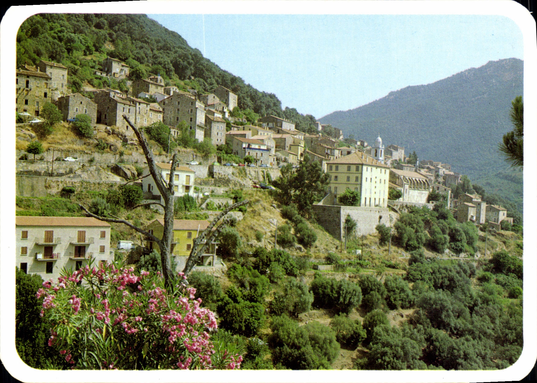 CPSM Charmes Et Couleurs De La Corse Olmeto Vue Generale