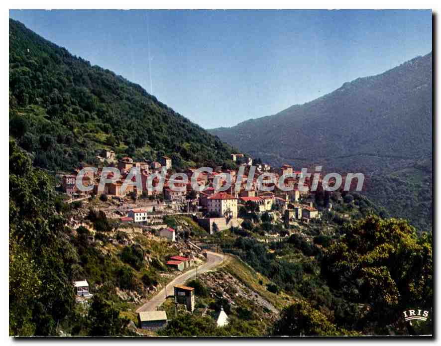 CPSM Charmes Et Couleurs De La Corse Olmeto Vue Generale du village de COLOMBA