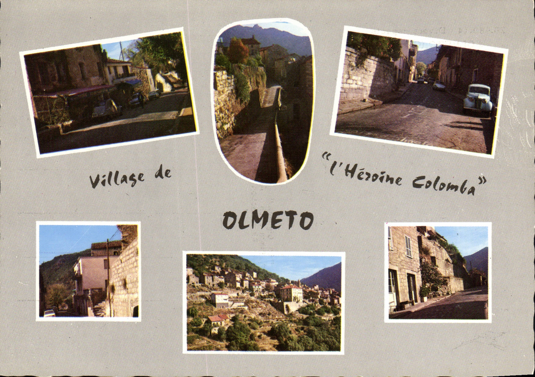 CPSM Divers Aspects D'Olmeto