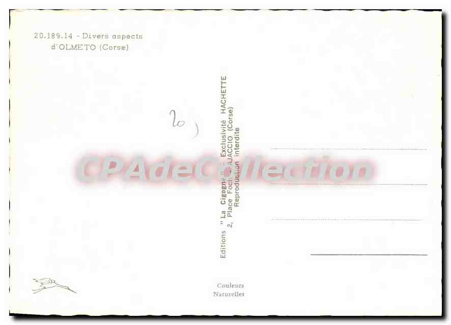 CPSM Divers Aspects D'Olmeto — Verso