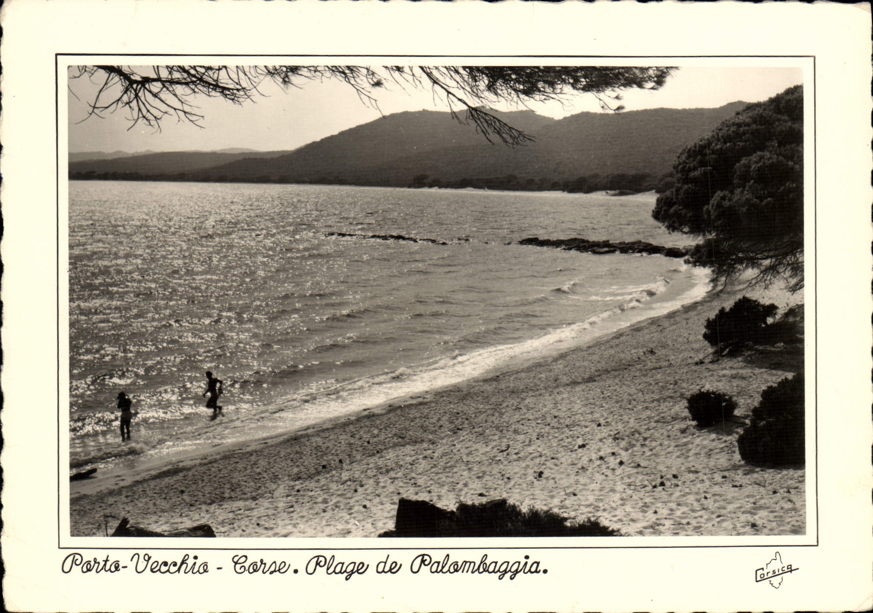 CPSM Porto Vecchio Plage De Palombaggia