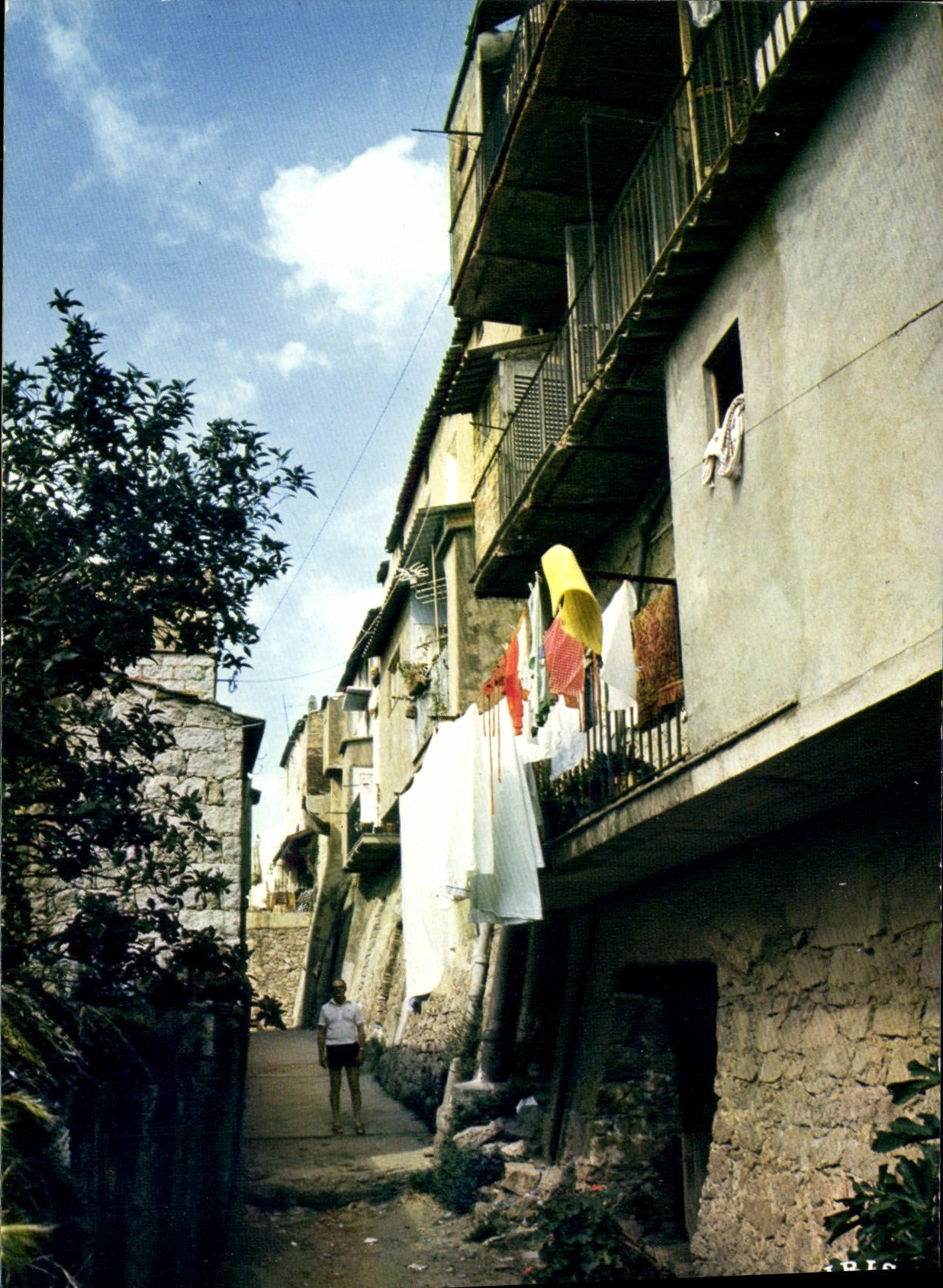 CPSM Porto Vecchio Un Vieux Quartier
