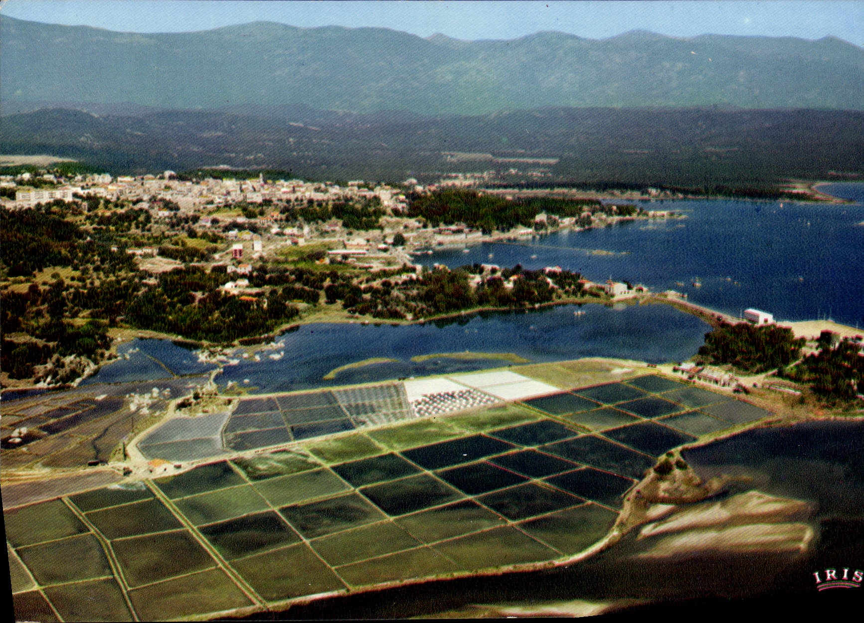 CPSM Porto Vecchio Les Marais Salants Et Vue Generale De La Ville