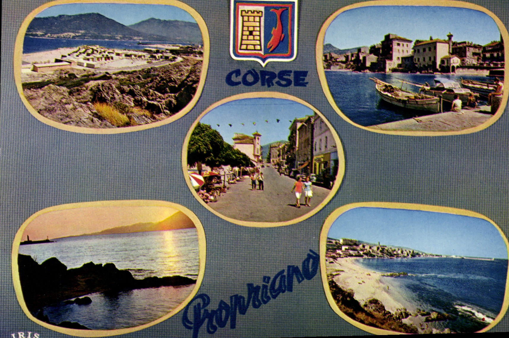 CPSM Propriano Charmes Et Couleurs De La Corse