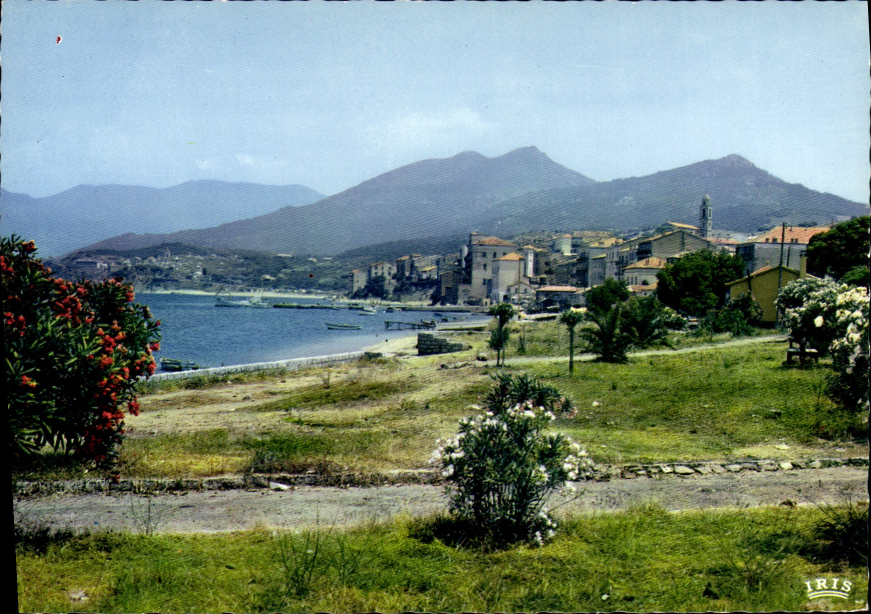 CPSM Propriano Vue De La Ville