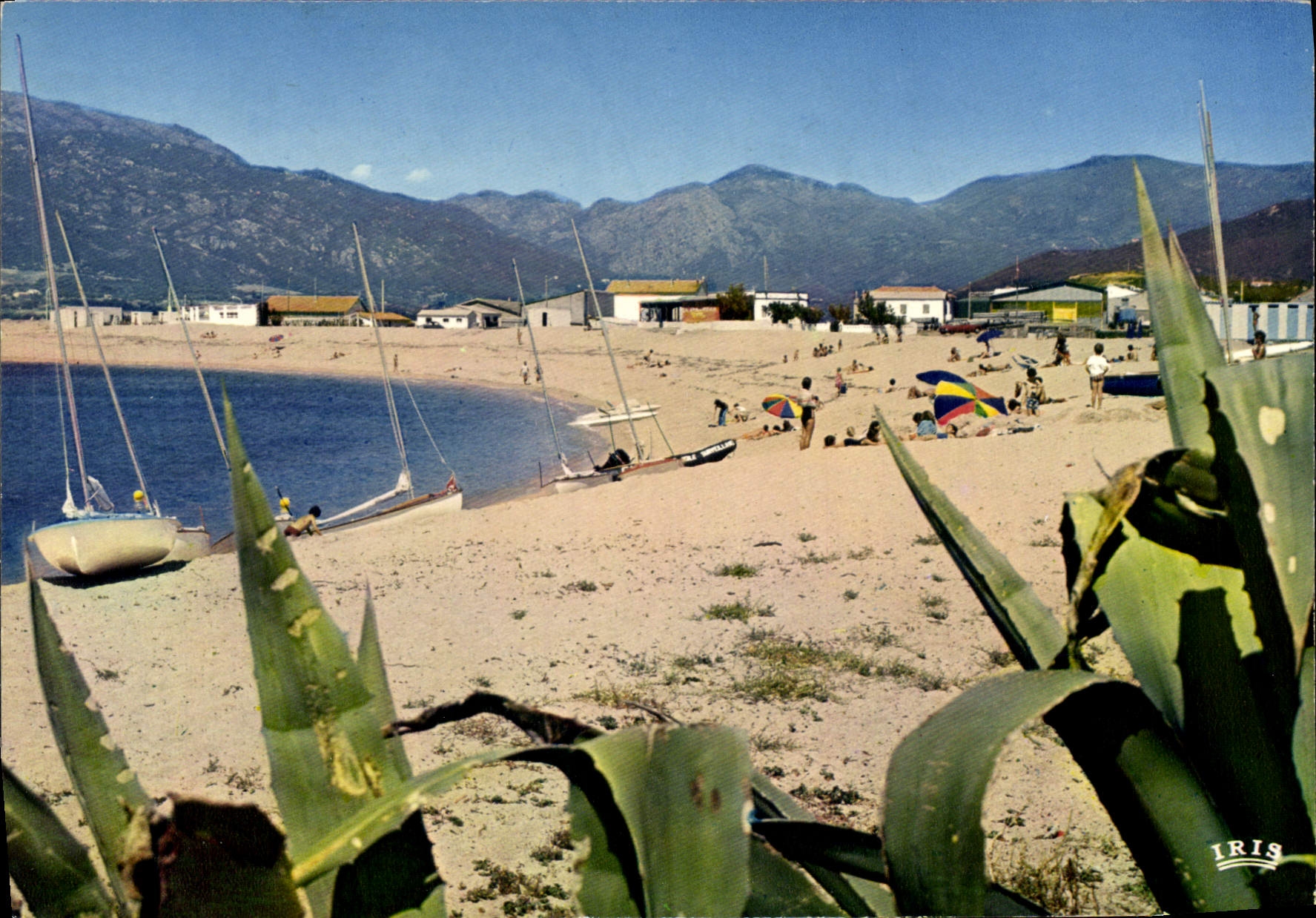 CPSM Propriano La Plage