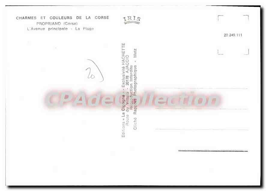 CPSM Propriano L'Avenue Principale La Plage — Verso