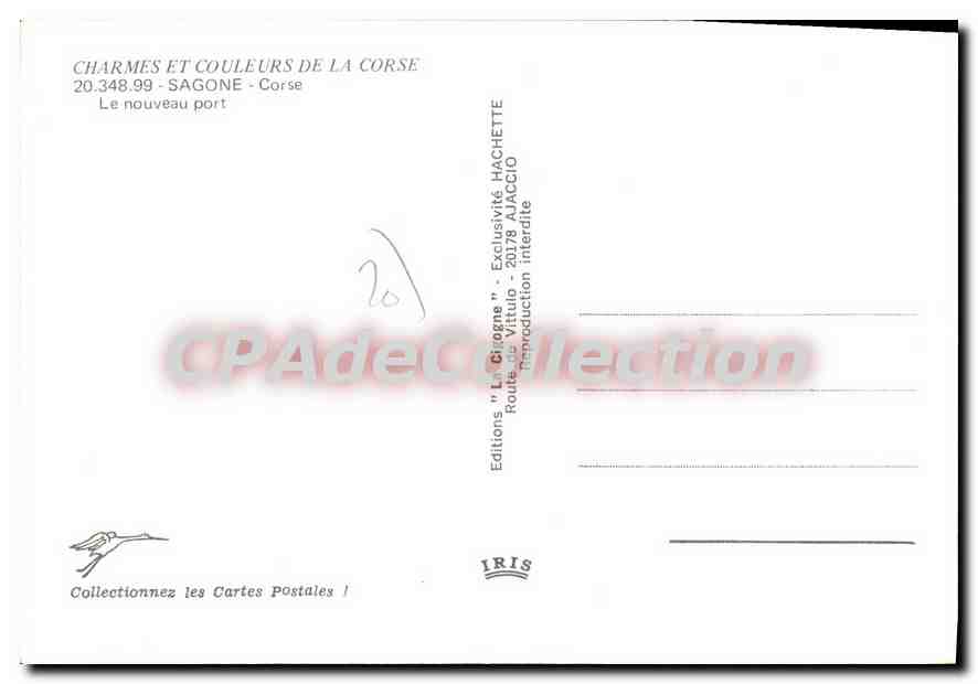 CPSM Sagone Le Nouveau Port — Verso