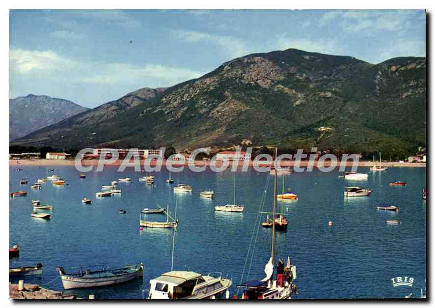 CPSM Sagone Le Port Et Vue Generale