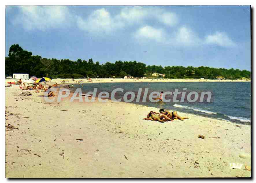 CPSM Solenzara Cote Des Nacres Et Sa Plage