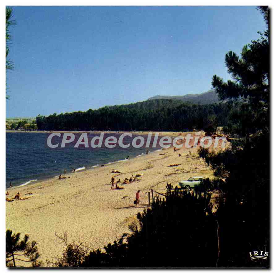 CPSM Solenzara Cote Des Nacres Et Sa Plage