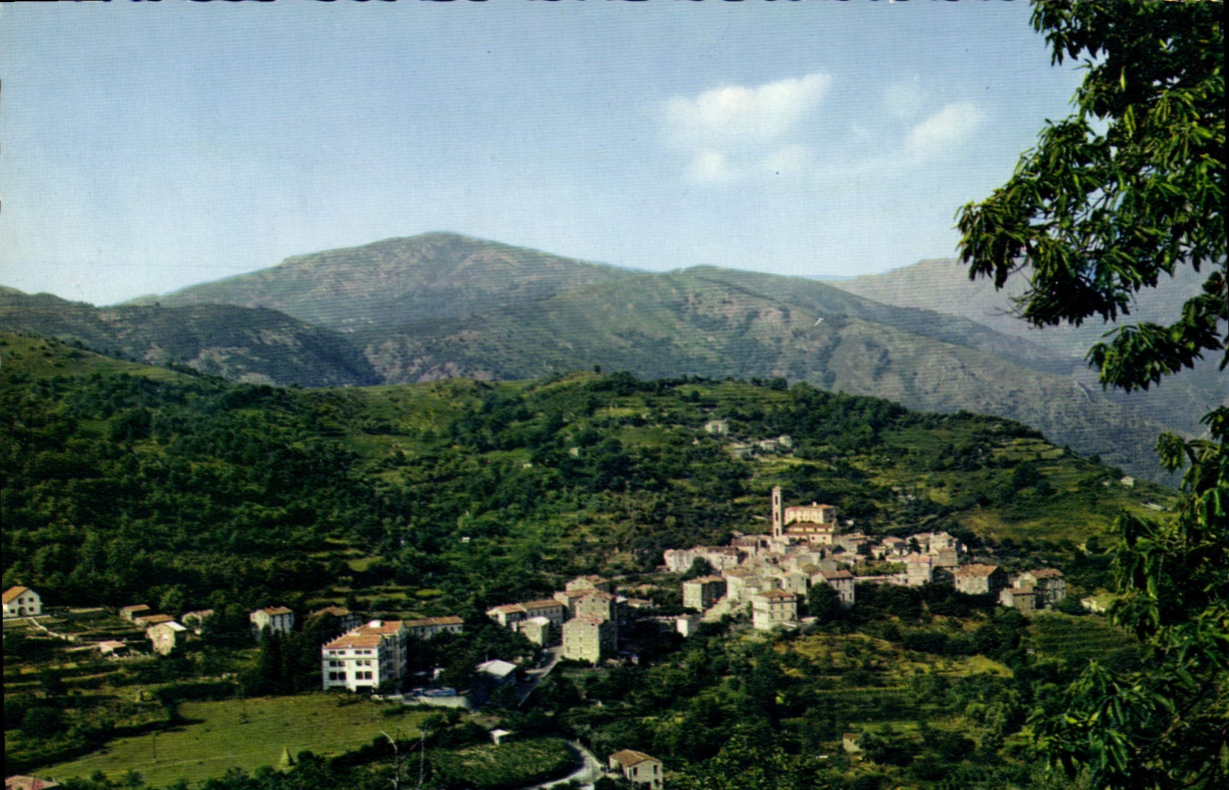 CPSM Vico Vue Generale