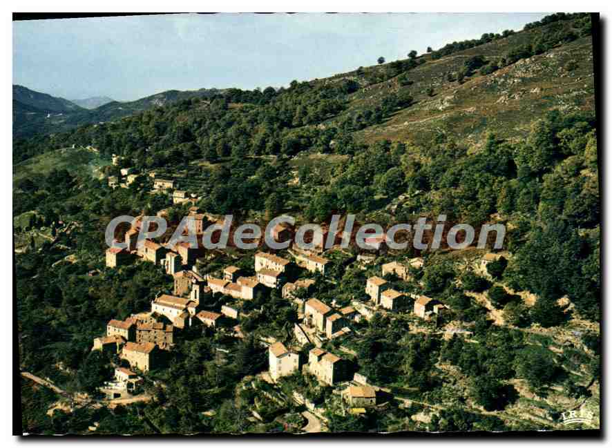 CPSM Letia St Roch Vue Generale