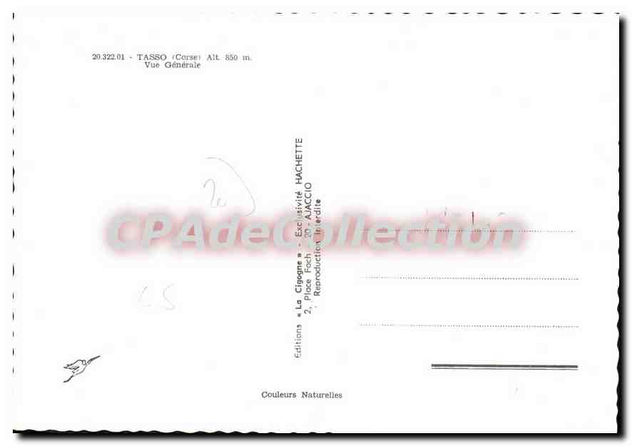 CPSM Tasso Vue Generale — Verso
