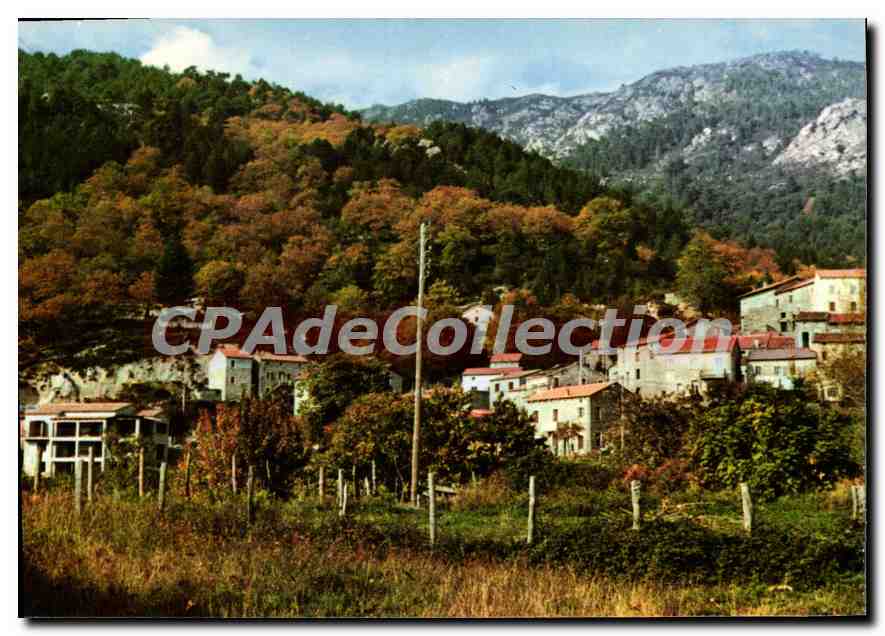 CPSM Tasso Exclusivite Mme Bonelli Alimentation