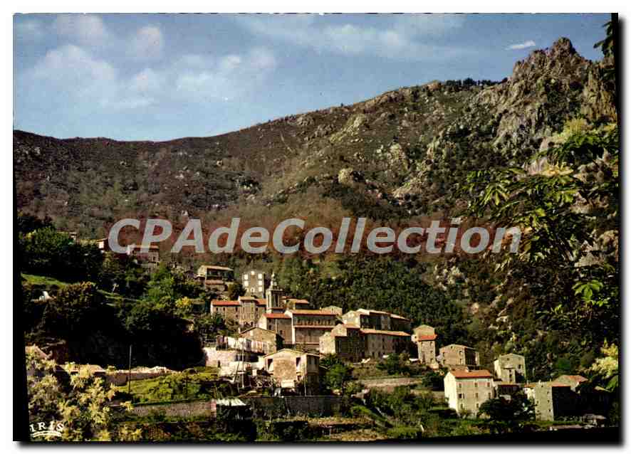 CPSM Orto Vue Generale Et Le Mont Sant Eliseo