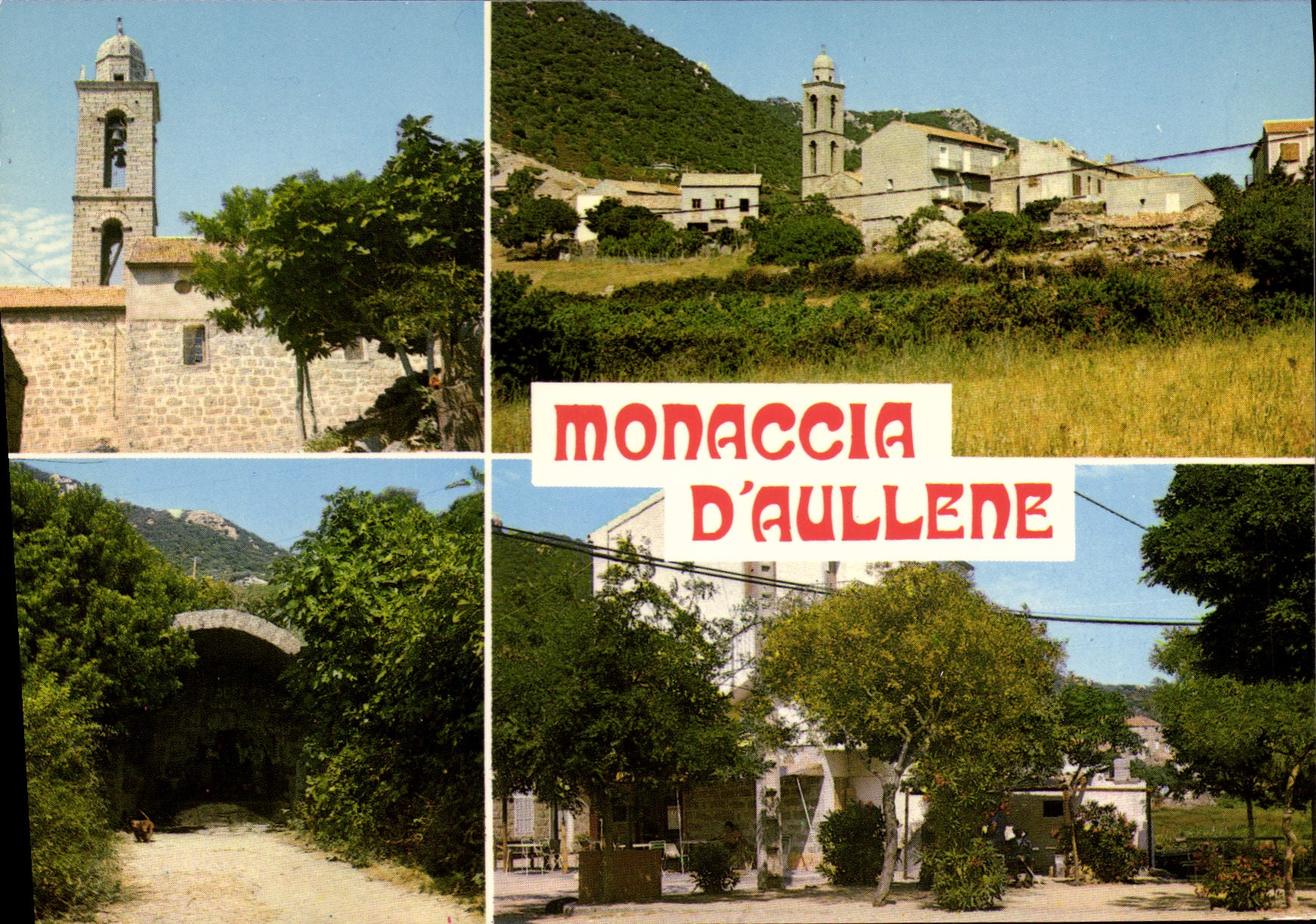 CPSM Monaccia D'Aullene Corse Divers Aspects Du Village
