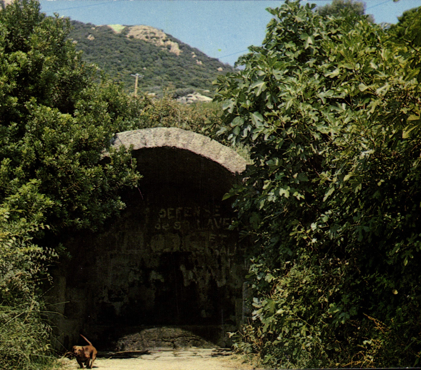 CPSM Monaccia D'Aullene La Fontaine