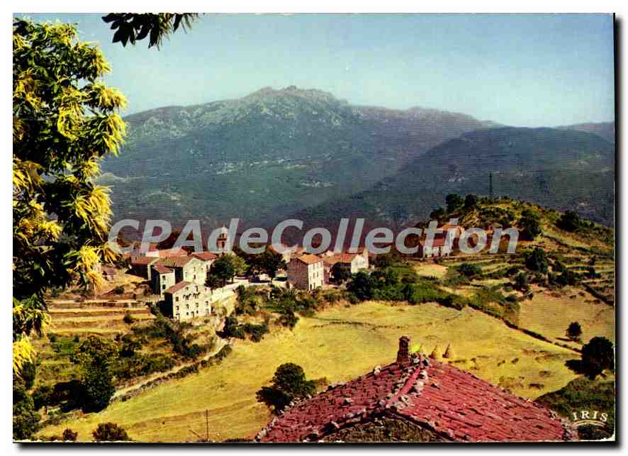 CPSM Mela Petit Village Corse