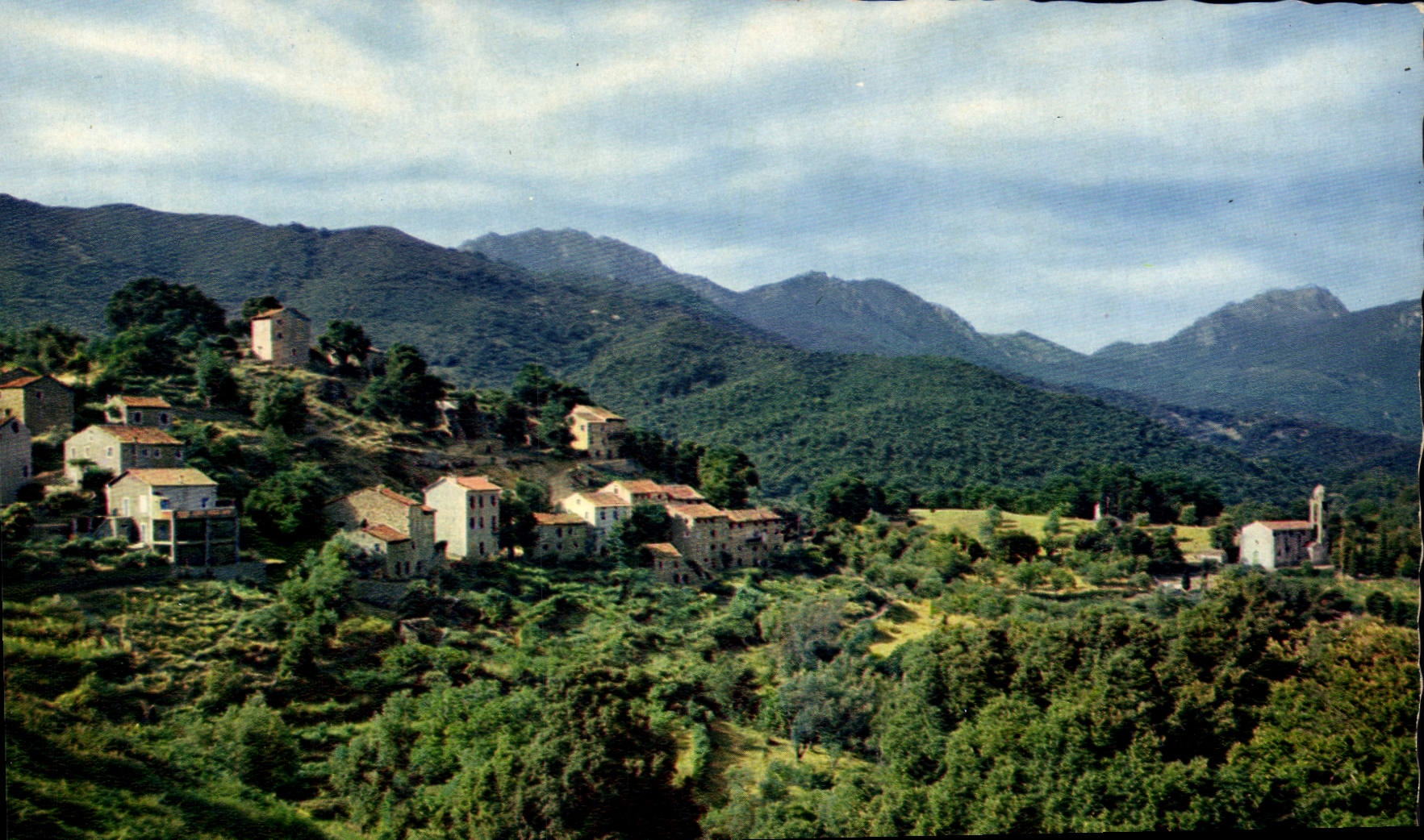 CPSM Albitreccia Vue Generale Du Village