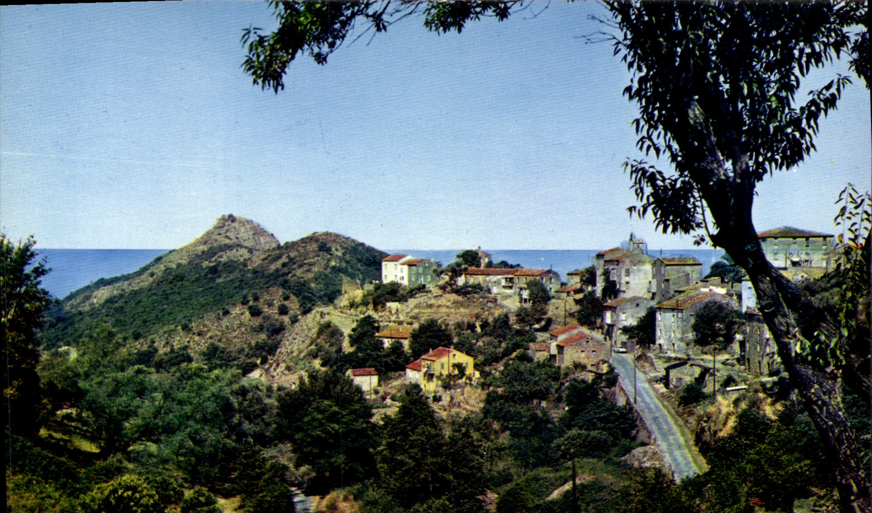 CPSM Cauro Vue Partielle Du Village Que I'On Apercoit De I'Annexe hotel Sampiero