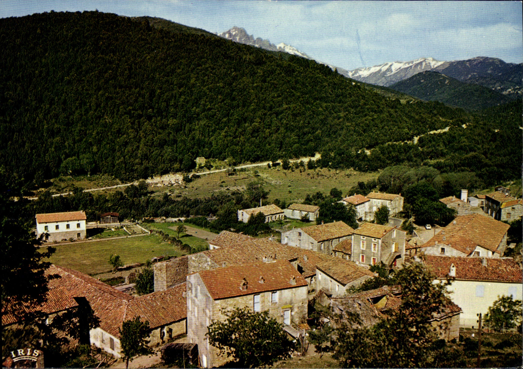CPSM Guagno Les Bains Vue Generale
