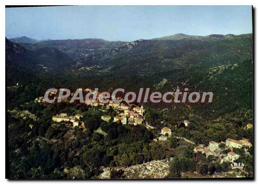 CPSM Guagno Vue D'Ensemble