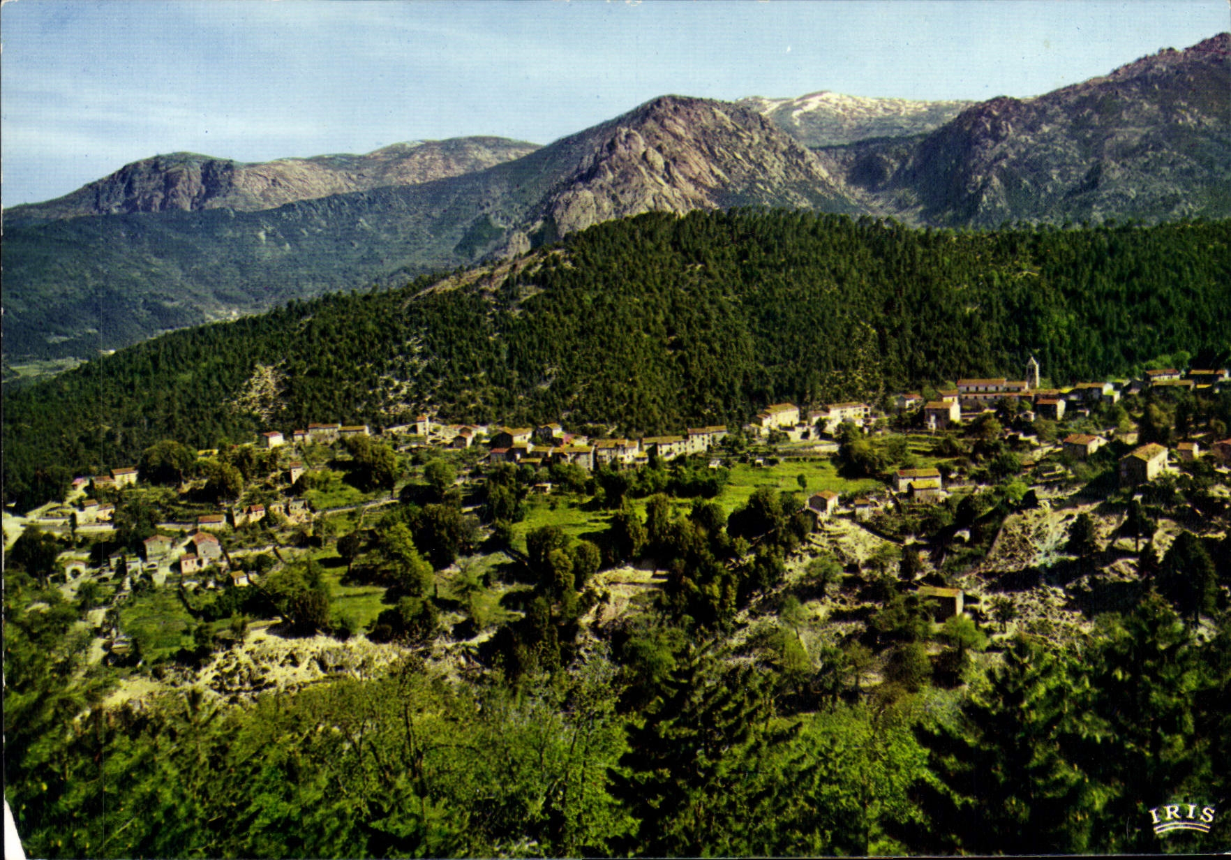 CPSM Guagno Vue D'Ensemble Du Village