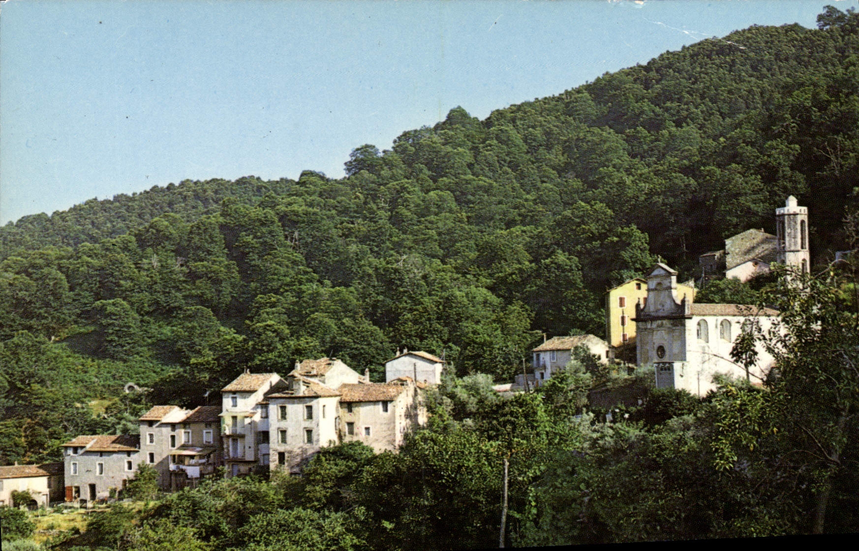CPSM Nesa Corse hameau de Vico