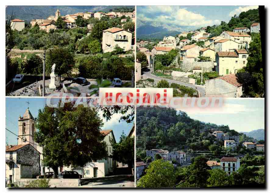 CPSM Ucciani Divers Aspects Du Village
