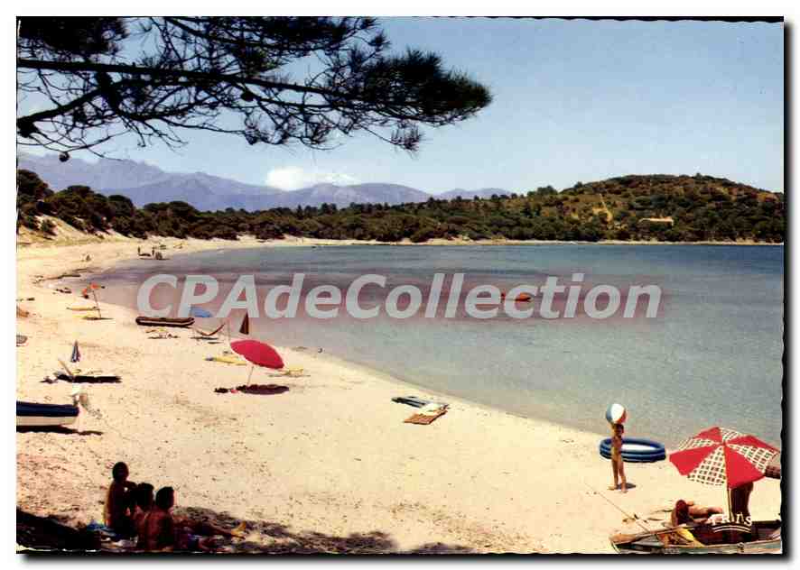 CPSM Ste Lucie De Porto Vecchio Villata