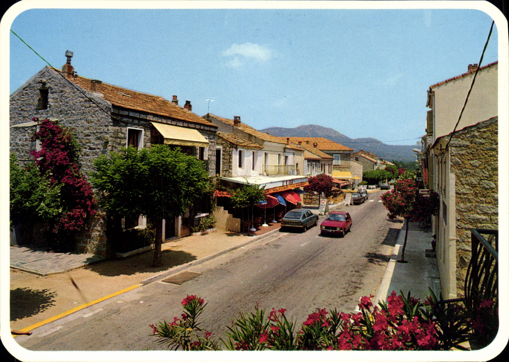 CPSM Sainte Lucie De Porto Vecchio