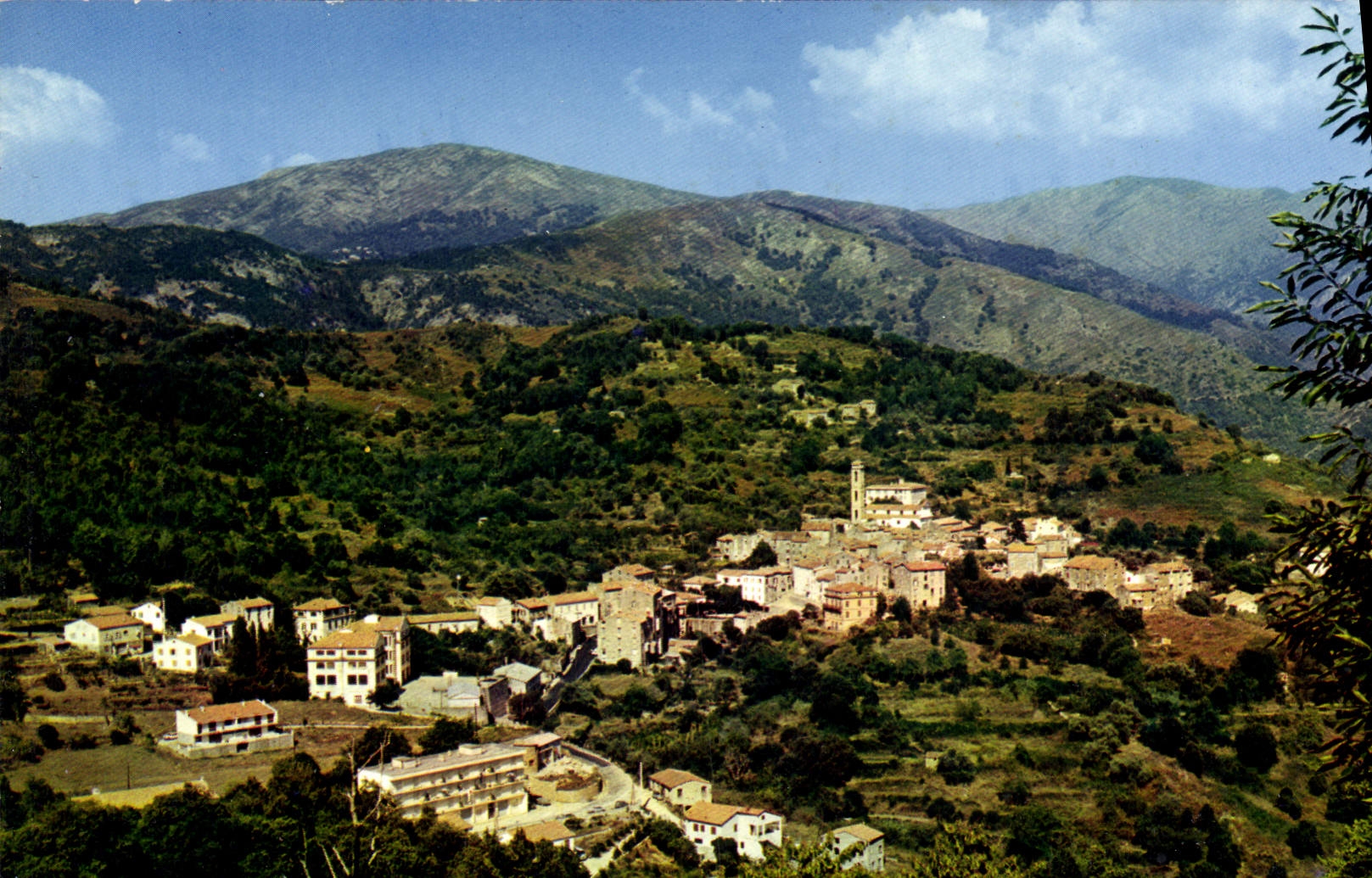 CPSM Charmes Et Couleurs De La Corse Vico Vue Generale
