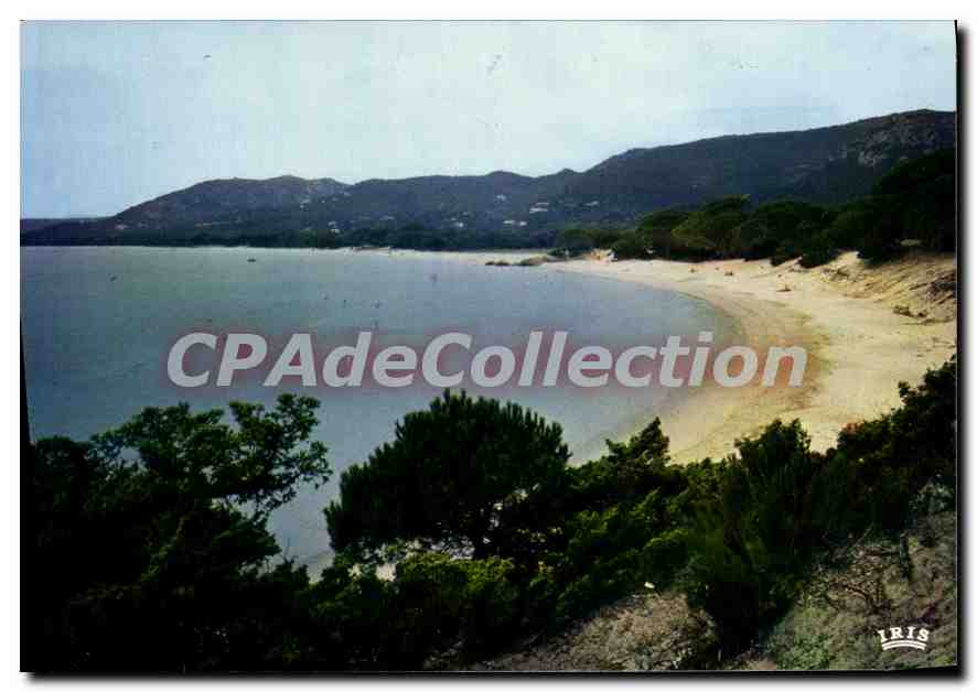 CPSM Palombaggia Corse La Plage De Sable Fin