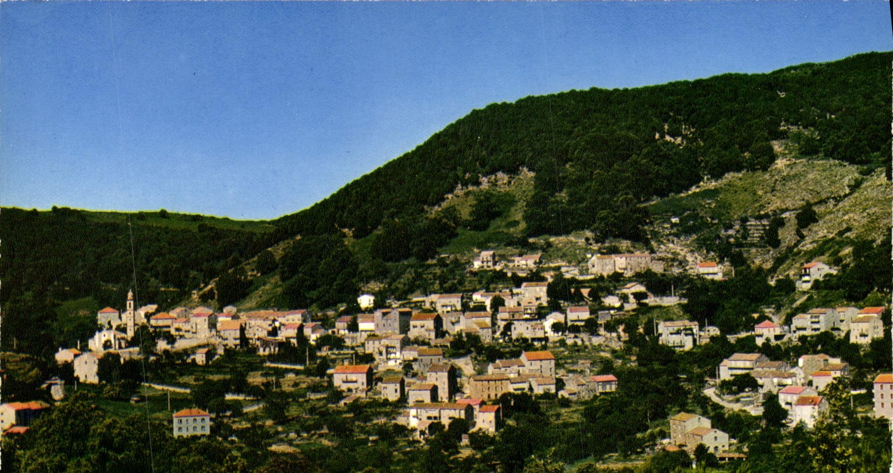 CPSM Levie Vue Generale