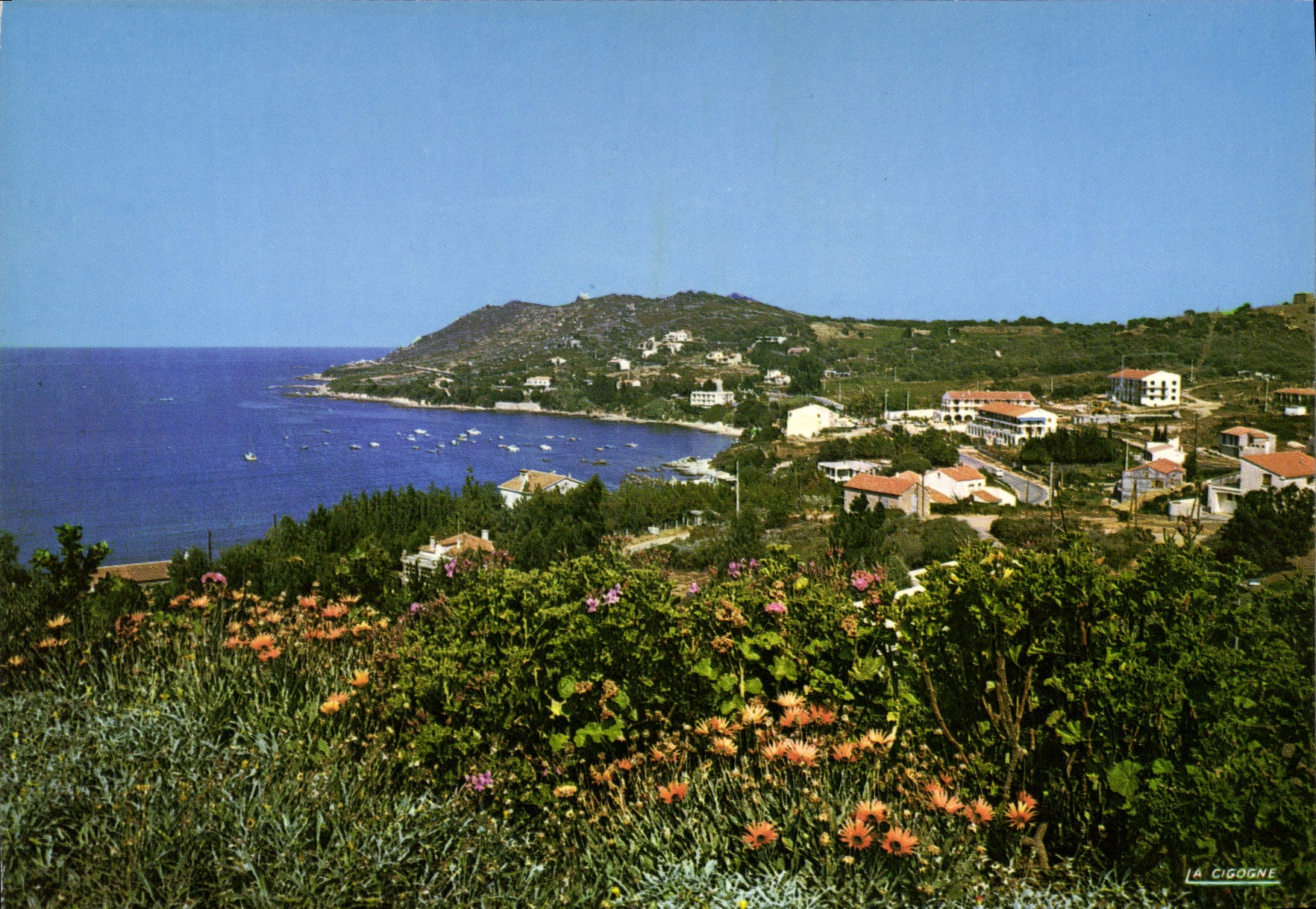 CPSM Tiuccia Corse Vue Generale