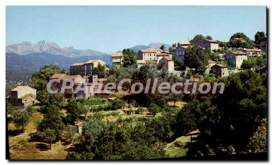 CPSM Olivese Vue partielle Du Village 