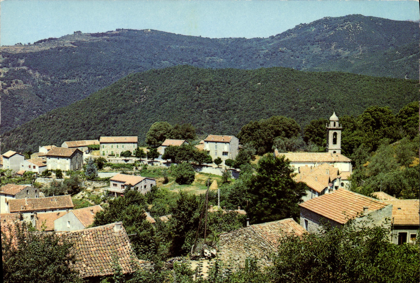 CPSM Olivese Vue partielle Du Village 