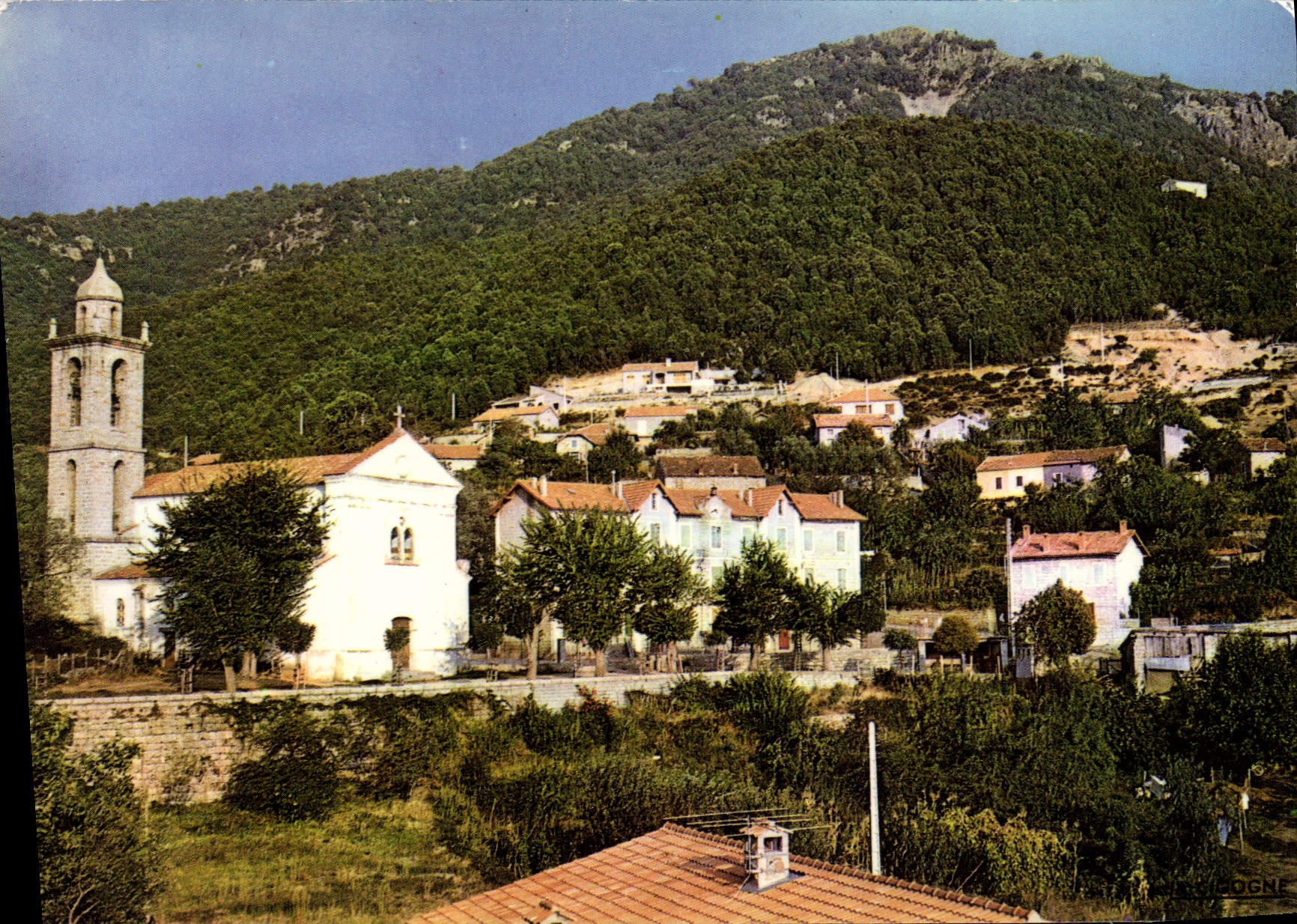 CPSM Olivese Corse Vue Partielle Du Village 