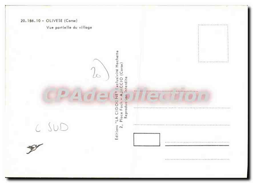 CPSM Olivese Corse Vue Partielle Du Village  — Verso