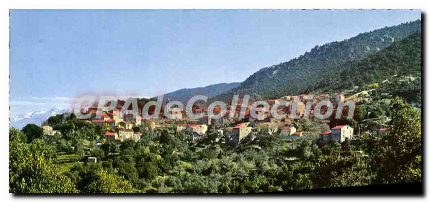 Olivese (Corse) — Vue Générale — Éditions « La Ciose » Hachette