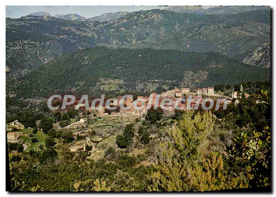 CPSM Olivese Corse Vue D'Ensemble Du Village 