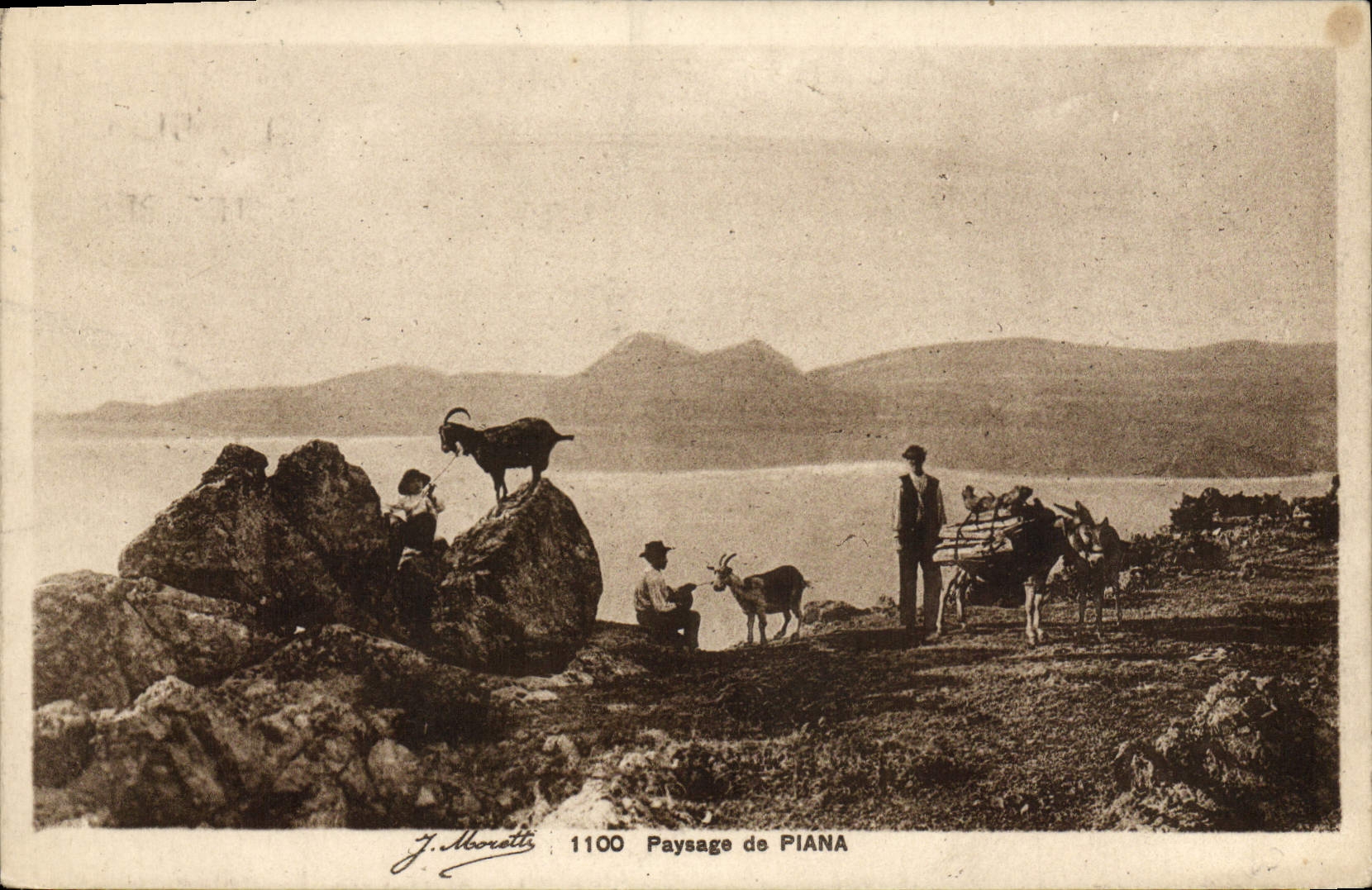 CPA Paysage De Piana