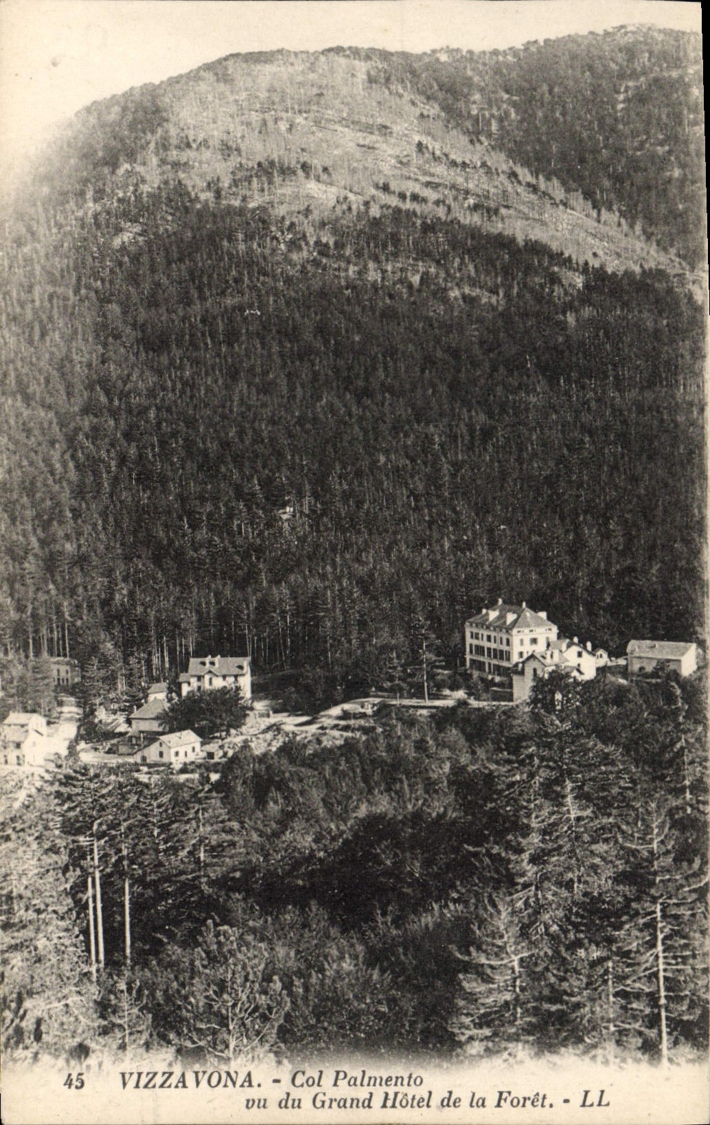 CPA Vizzavona Col Palmento Vu Du Grand Hotel De La Foret