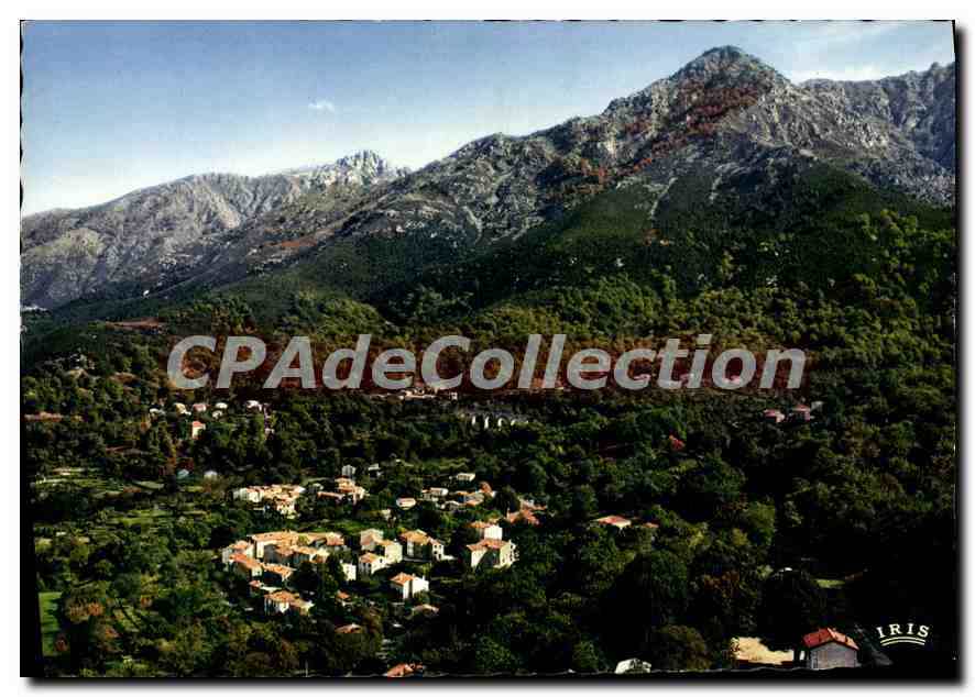 CPSM Bocognano Le Village Dans La Chataigneraie 