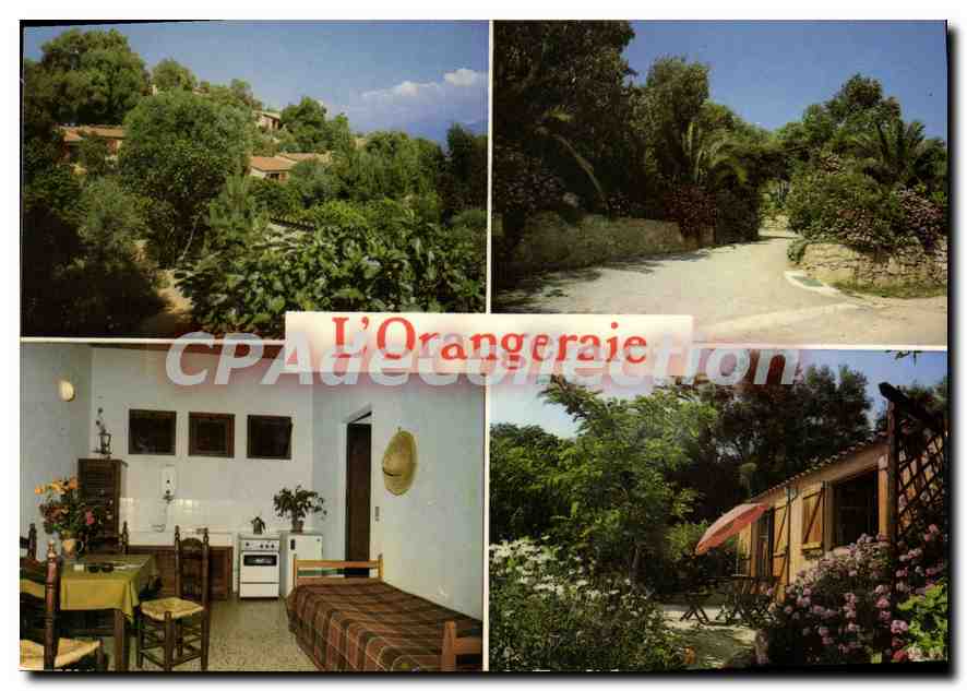 CPSM L'Orangeraie Bastelicaccia Cantieri Albert